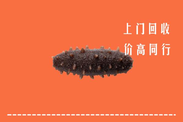 岳阳高价回收海参